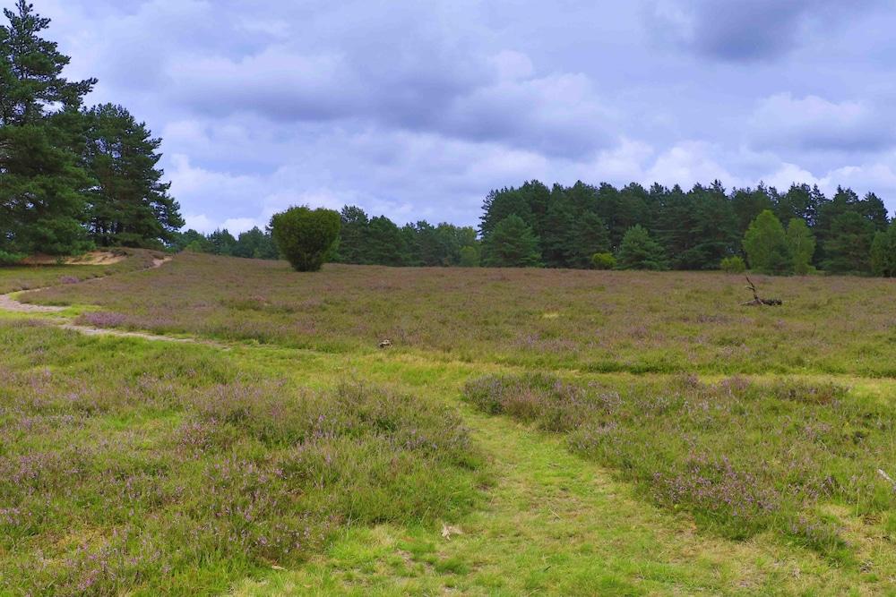 Western Heidehof Hotel 4*