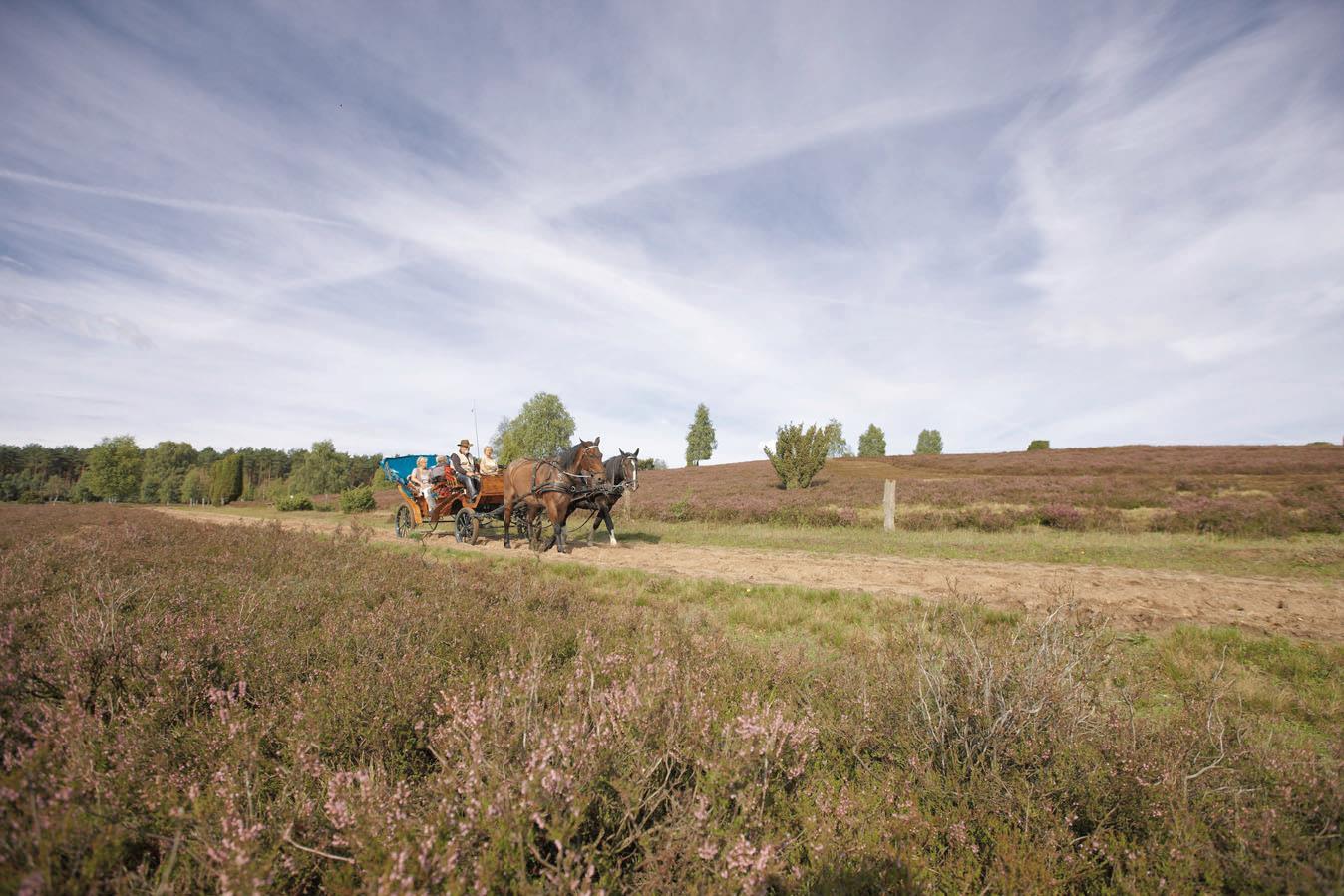 Western Heidehof Hotel 4*